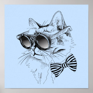 Coole Katze Poster