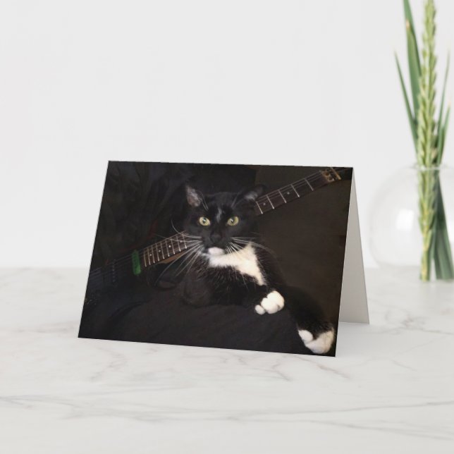 Coole Katze und Gitarre zum Geburtstag Karte (Vorderseite)