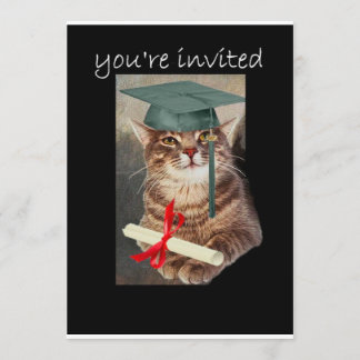 Coole Katzen-Abschluss-Party Einladung