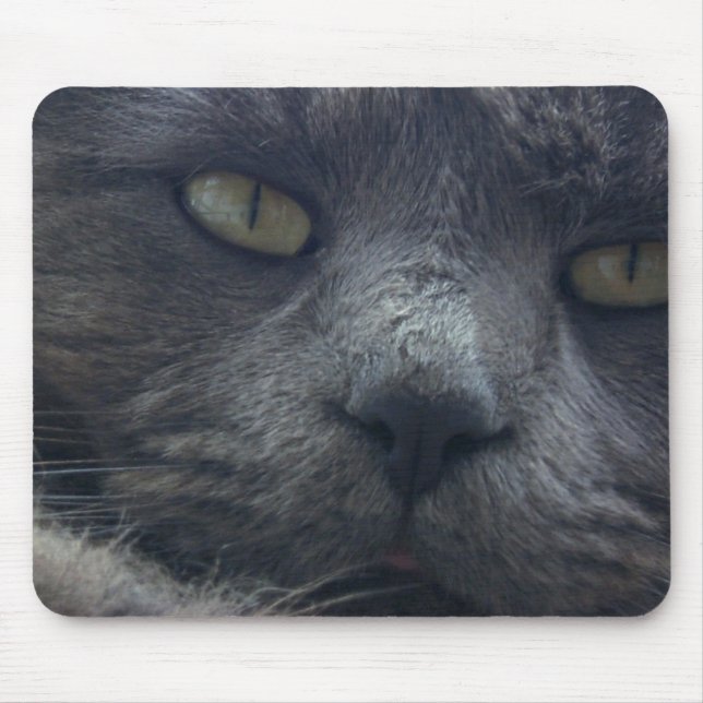 Coole Katzen-Gesichts-Mausunterlage Mousepad (Vorne)