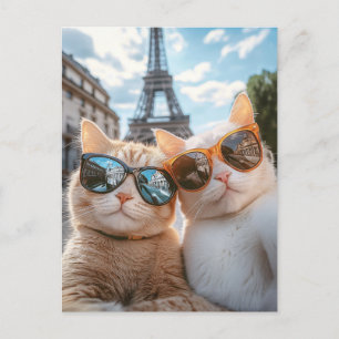 Coole Katzen in Paris Postkarte