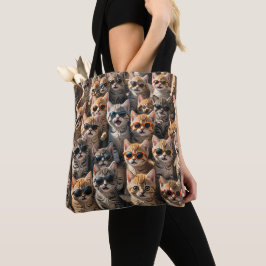 Coole Katzen mit Sonnenbrille