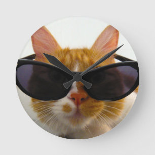 Coole Katzen-tragende Sonnenbrille-Uhr Runde Wanduhr