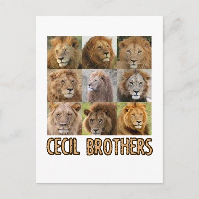 coole Lion-Designs Postkarte (Vorderseite)