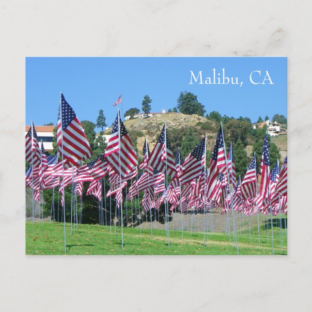 Coole Malibu Postkarte! Postkarte (Vorderseite)