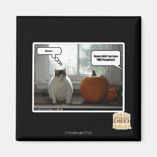 coole Maßnahme Magnet