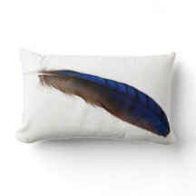 Coole moderne blaue Feder auf Weiß