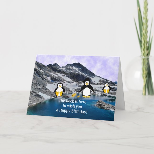 Coole Pinguine Geburtstagskarte Karte (Vorderseite)