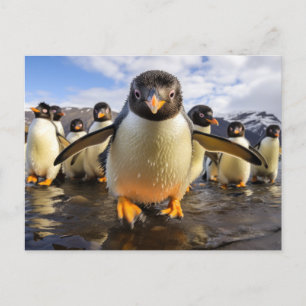Coole Pinguine Postkarte