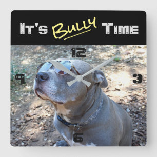 Coole Pitbull Bullezeit Uhr