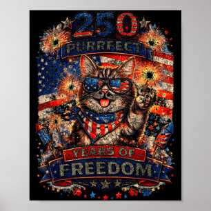 Coole Retro-Katze 250 Jahre Patriotisch Amerikanis Poster
