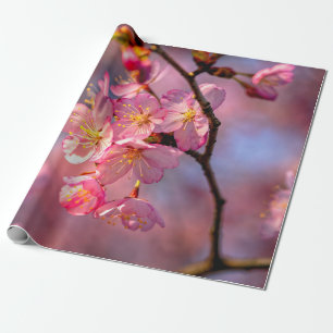 Coole Sakura-Blume auf einem Kirschbaum Geschenkpapier