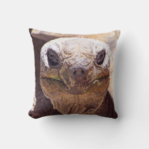 Coole Schildkröten-Kissen! Kissen