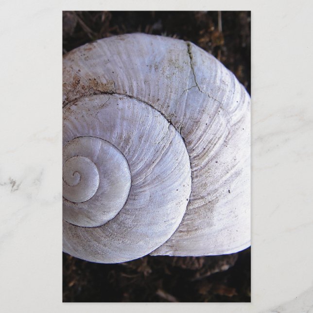 Coole Schnecke Briefpapier (Vorderseite)