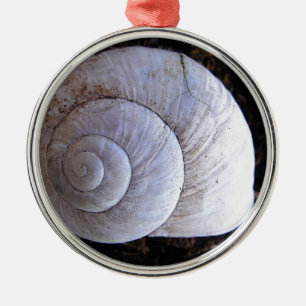 Coole Schnecke Ornament Aus Metall