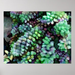 Coole Schwanz von Hued Burro in der heißen Wüste Poster