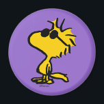 Coole Sonnenbrille aus Holz Magnet<br><div class="desc">Schauen Sie sich dieses super niedliche Design an,  mit Woodstock mit cooler Sonnenbrille.</div>