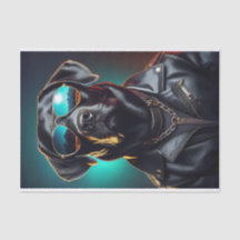 Coole Terrasse, schwarzes Labor in Lederweste