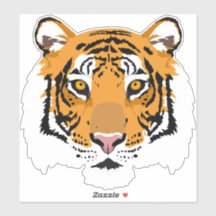 Coole Tiger-Gesicht Big Cat