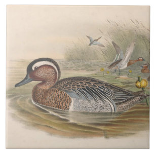 coole Vintage Enten Dekoration Keramik Fliesen