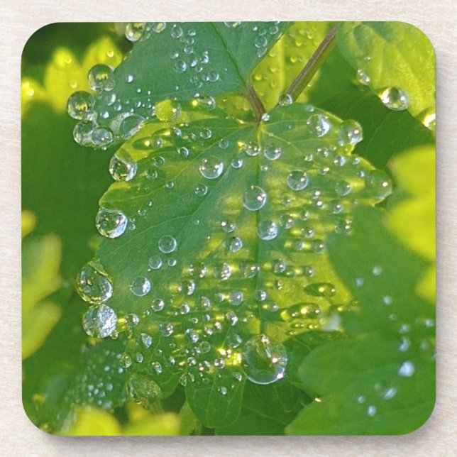 Coole Wassertropfen auf grünem Grund Getränkeuntersetzer (Vorderseite)