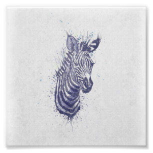 Coole Zebra-Spritzer Fotodruck