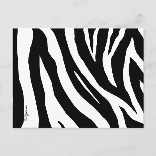 Coole Zebra Streifen Postkarte (Vorderseite)