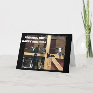 COOLE ZIATEN BLEIBEN "GLÜCKLICH 40. GEBURTSTAG" AU KARTE