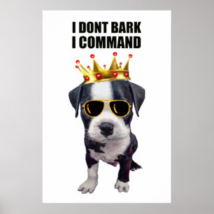 Cooler Babyhund mit eigenem Satz oben Poster