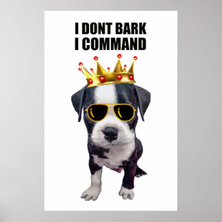 Cooler Babyhund mit eigenem Satz oben Poster