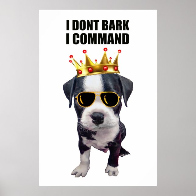 Cooler Babyhund mit eigenem Satz oben Poster (Vorne)