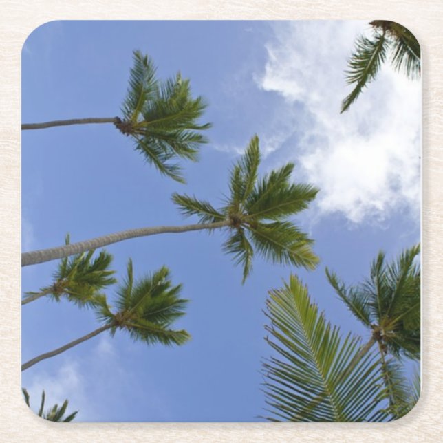 Cooler blauer Himmel und Palmen Rechteckiger Pappuntersetzer (Vorderseite)