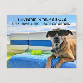 Cooler Bootshund mit Sonnenbrille und Tennisbällen Feiertagspostkarte