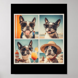 Cooler Boston Terrier Sonnenbrille Hunde Sommerurl Poster