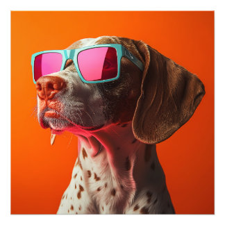 Cooler Bracco italiano Hund mit Sonnenbrille Fotodruck