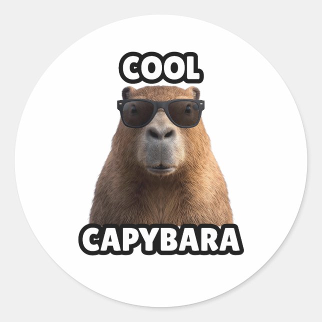 Cooler Capybara-Aufkleber Runder Aufkleber (Vorderseite)