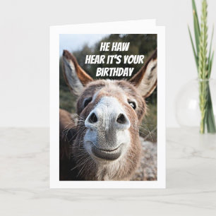 **COOLER DONKEY SAGT "HAPPY BIRTHDAY" SISTERKARTE KARTE
