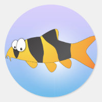 Cooler Fisch - Clownloach