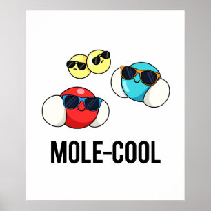 Cooler Funny Molecule Pun Poster