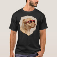 Cooler gelber Labrador Hund mit Sonnenbrille Patte