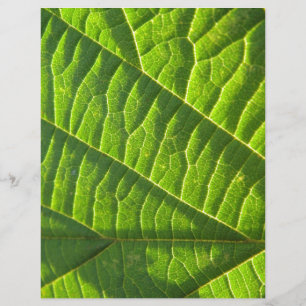 Cooler grüner Blattdruck