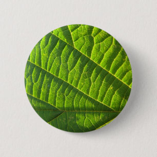 Cooler grüner Blattdruck Button