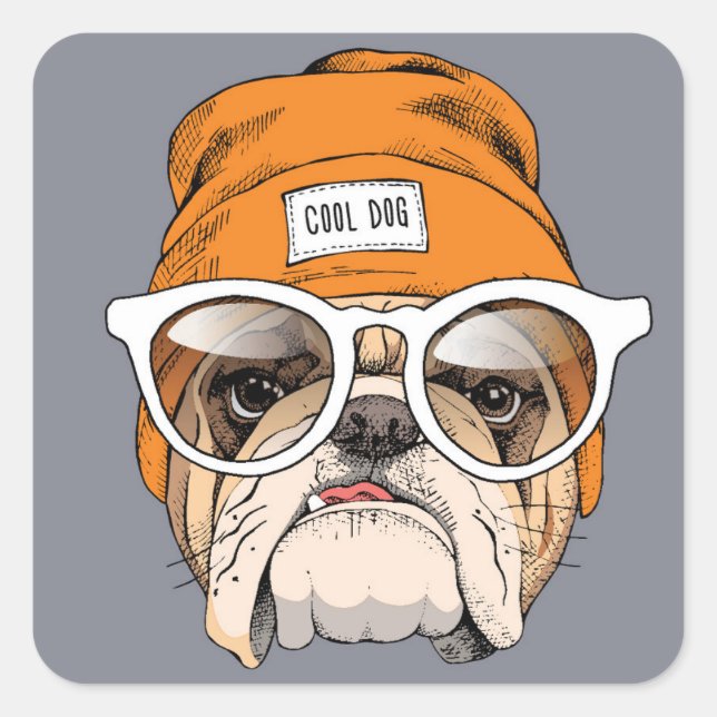 Cooler Hipster Bulldog Quadratischer Aufkleber (Vorderseite)