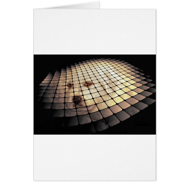 Cooler Hund Digitale Kunst (Vorne)