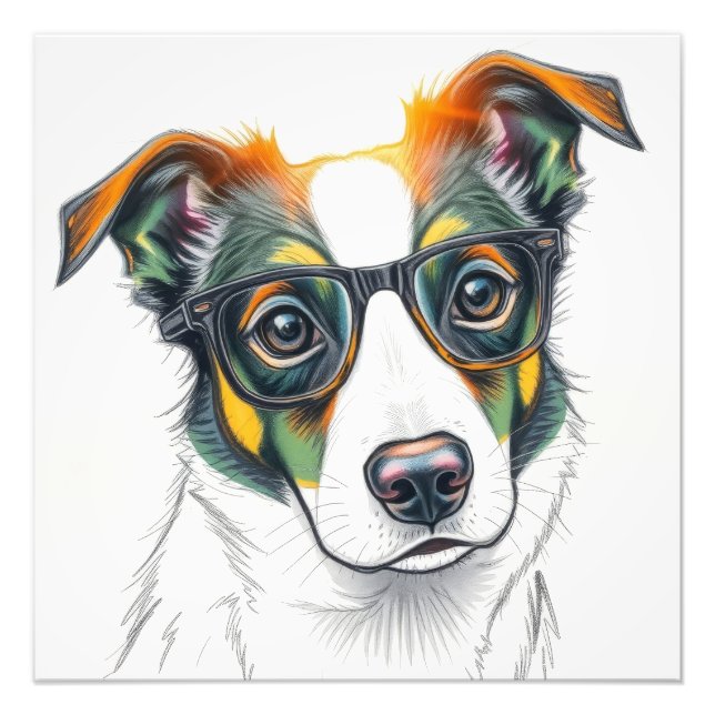 Cooler Hund mit Sonnenbrille Fotodruck (Vorne)