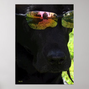 Cooler Hund Poster