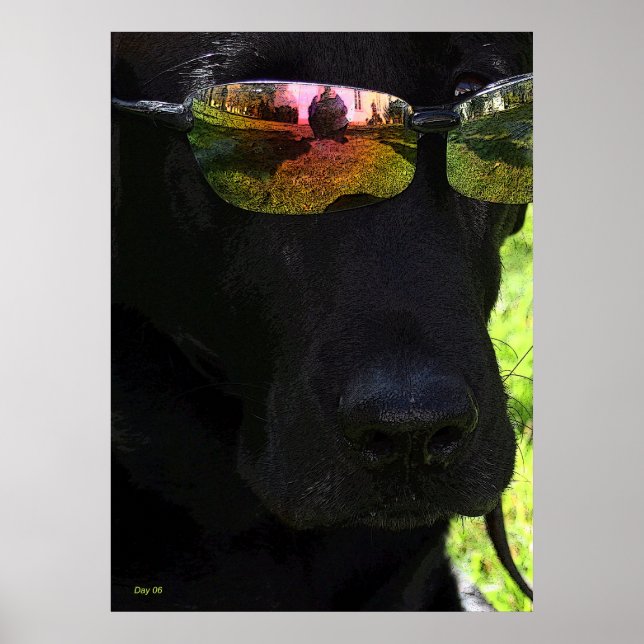 Cooler Hund Poster (Vorne)