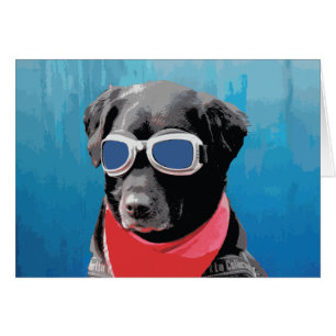 Cooler Hund Schwarzes Labor Red Bandana Blue Goggl