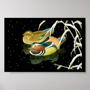 Cooler japanischer Mandarina-Entenschnee Poster