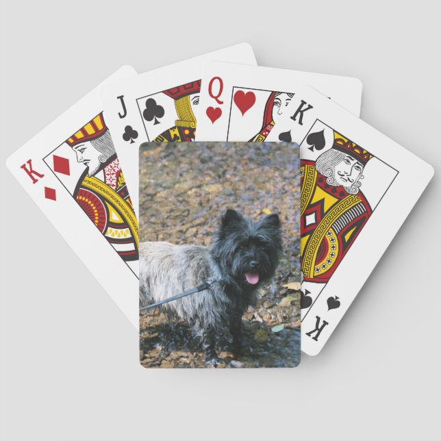 Cooler Kairn Spielkarten (Rückseite)